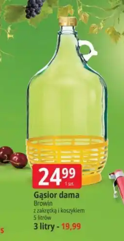 E.Leclerc Gąsior BROWIN oferta