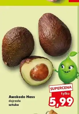 Awokado Hass dojrzałe