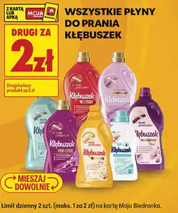 Biedronka Płyny do prania Kłębuszek oferta