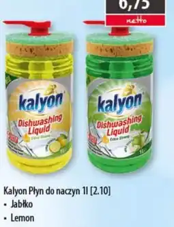 DUO-TES Kalyon Płyn do naczyń oferta