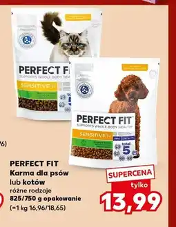 Kaufland Karma dla kotów Perfect Fit Sensitive 1+ bogaty w indyka oferta