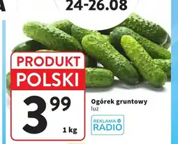 Intermarche Ogórek gruntowy oferta