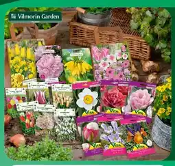 Carrefour Cebulki jesienne w kapersach Vita Vilmorin Garden oferta