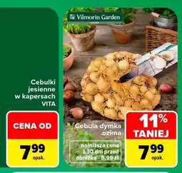 Carrefour Cebula dymka ozima Vilmorin Garden oferta