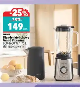 Biedronka Blender kielichowy Zeegma Grand Vitamine oferta