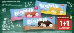 Delikatesy Centrum Lody na patyku Big Milk oferta