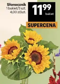 Delikatesy Centrum Słonecznik oferta