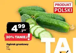 Netto Ogórek gruntowy oferta