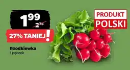 Netto Rzodkiewka oferta