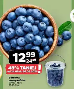 Netto Borówka amerykańska oferta