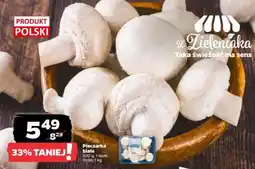 Netto Pieczarka biała oferta