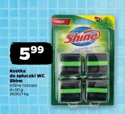 Netto Kostka do spłuczki WC Shine oferta