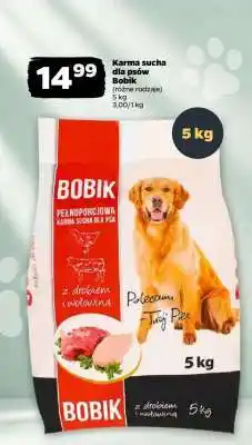 Netto Karma sucha dla psów Bobik oferta