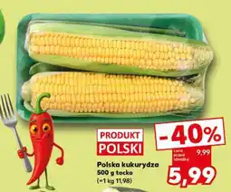 Kaufland Polska kukurydza 500 g tacka oferta