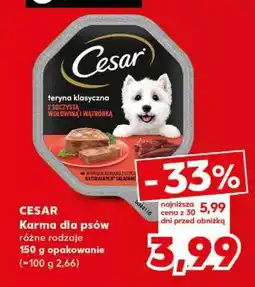 Kaufland CESAR Karma dla psów oferta
