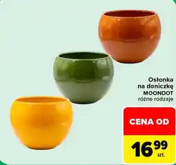 Carrefour Osłonka na doniczkę MOONDOT oferta