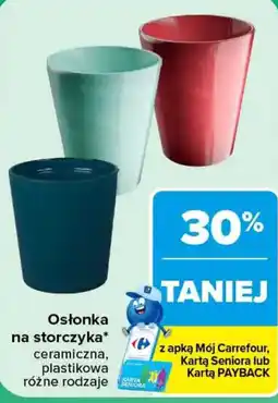 Carrefour Oślonka na storczyka* oferta
