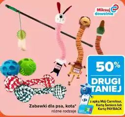 Carrefour Zabawki dla psa, kota* oferta