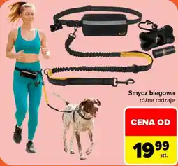 Carrefour Smycz biegowa oferta
