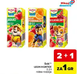Carrefour Express Sok LEON HORTEx oferta