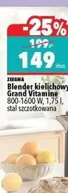 Biedronka Blender kielichowy Grand Vitamine Zeegma oferta