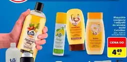 Carrefour Szampony i odżywki do włosów Carrefour oferta