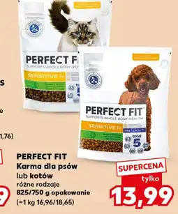 Kaufland Karma dla psa Perfect Fit oferta