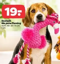 Netto Szarpak dla psów flaming oferta