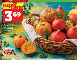 Topaz Dynia Hokkaido polska oferta