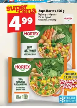 Topaz Zupa jarzynowa Hortex oferta