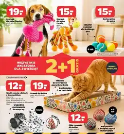Netto Szarpak dla psów flaming oferta