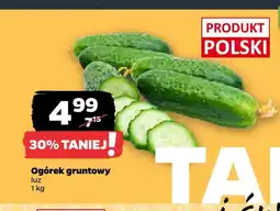 Netto Ogórek gruntowy oferta