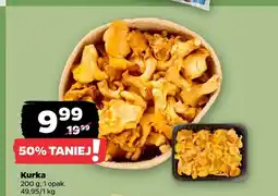 Netto Kurka oferta