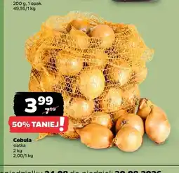 Netto Cebula siatka oferta