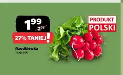 Netto Rzodkiewka oferta