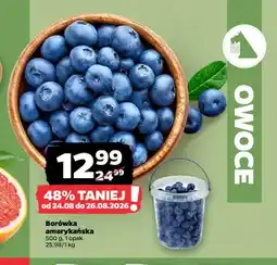 Netto Borówka amerykańska oferta
