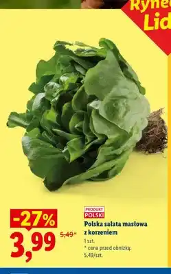 Lidl Sałata masłowa z korzeniem polska oferta