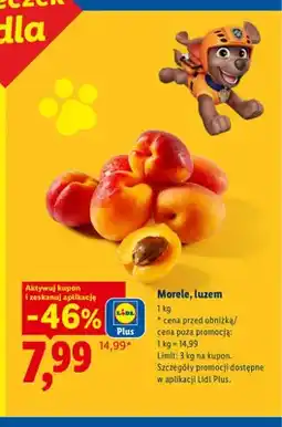 Lidl Morele luzem oferta