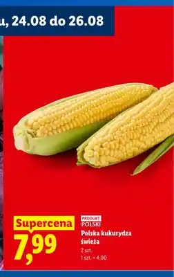 Lidl Polska kukurydza świeża 2-pak oferta