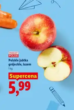 Lidl Jabłka grójeckie polskie luzem oferta