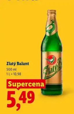 Lidl Piwo Zlatý Bažant oferta