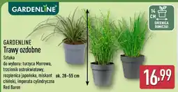 ALDI GARDENLINE oferta