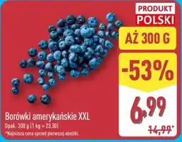 ALDI Borówki amerykańskie XXL oferta