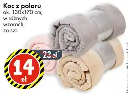 Tedi Koc z polaru oferta