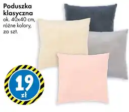 Tedi Poduszka klasyczna oferta