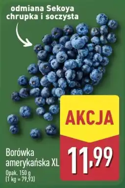 ALDI Borówka amerykańska XL oferta