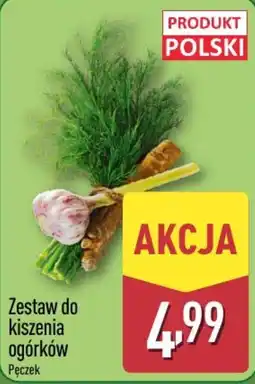 ALDI Zestaw do kiszenia ogórków Pęczek oferta