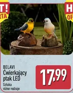 ALDI BELAVI Ćwierkający ptak LED oferta