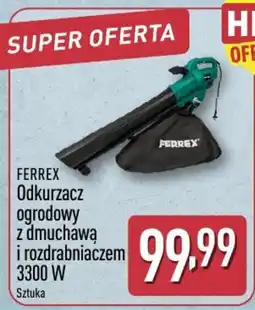 ALDI Odkurzacz ogrodowy z dmuchawą i rozdrabniaczem oferta