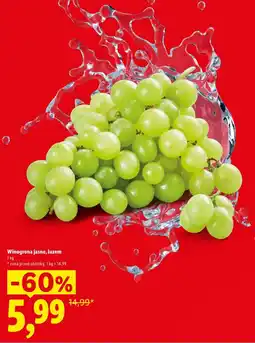 Lidl Winogrona jasne, luzem oferta
